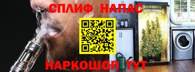 a pvp Гусь-Хрустальный