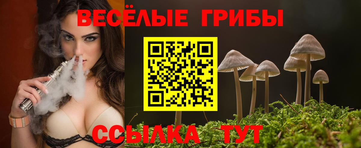 магазин продажи   Галлюциногенные грибы мицелий  Вход с VPN  Дивногорск 