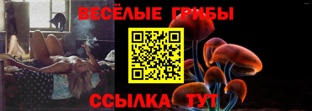 Галлюциногенные грибы Cubensis Дивногорск